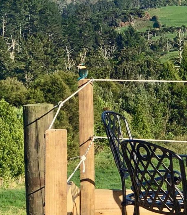 Arohanui Rural Retreat B&B Ταουράνγκα Εξωτερικό φωτογραφία