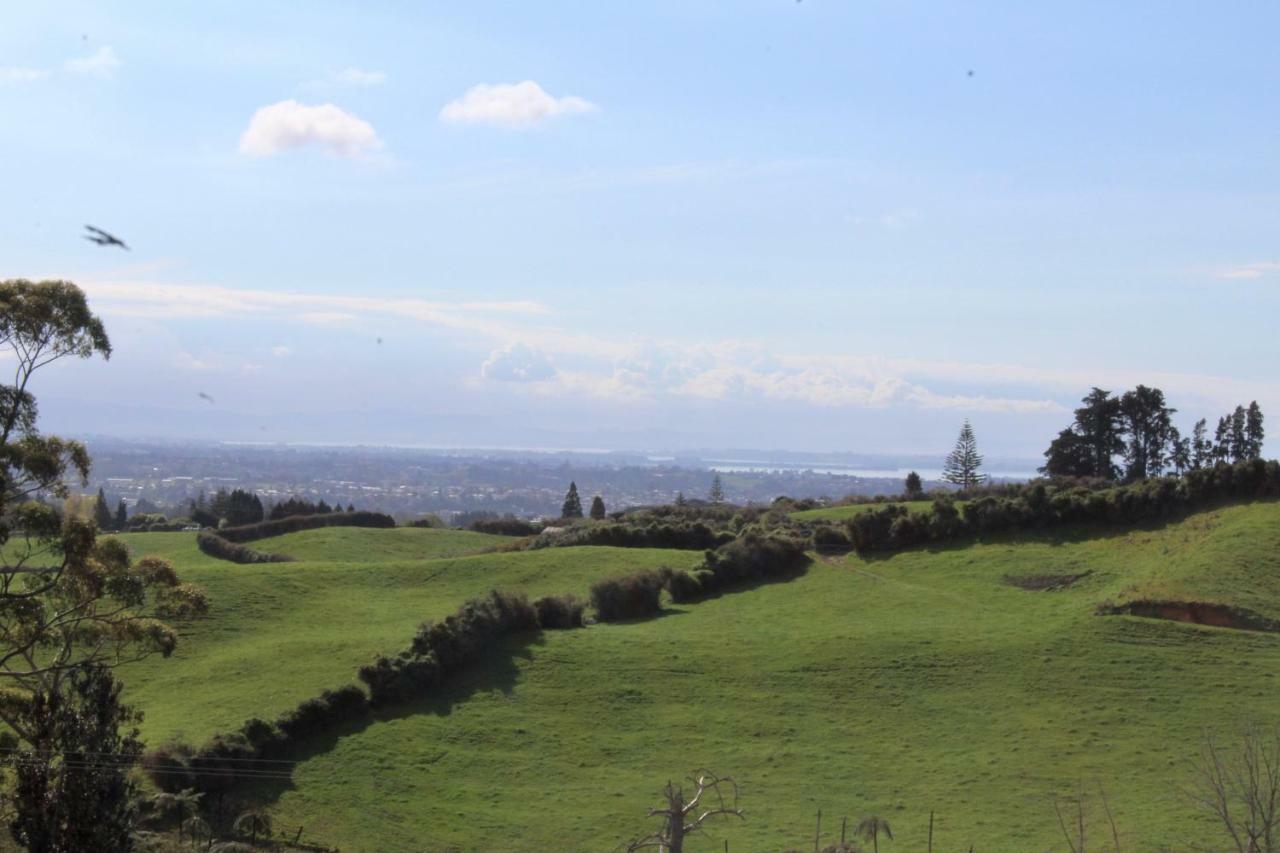 Arohanui Rural Retreat B&B Ταουράνγκα Εξωτερικό φωτογραφία